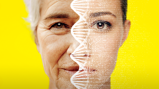 The Overlooked Key to Longevity: Hydration
