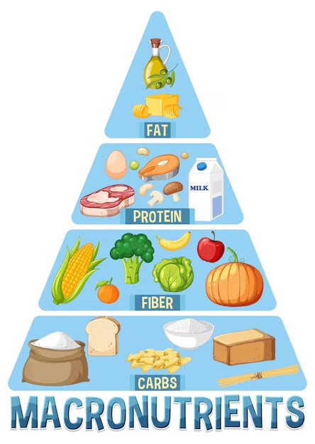 What to eat during a fasting diet eating window?!