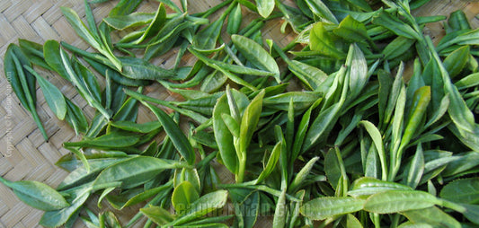 3 Ingredients from Nature that Help with Fasting